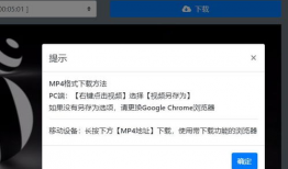 b站视频下载工具,一键下载，畅享海量视频内容
