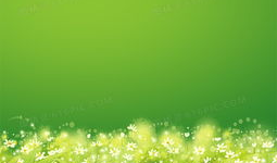 免费动态视频背景素材,打造视觉盛宴的幕后功臣